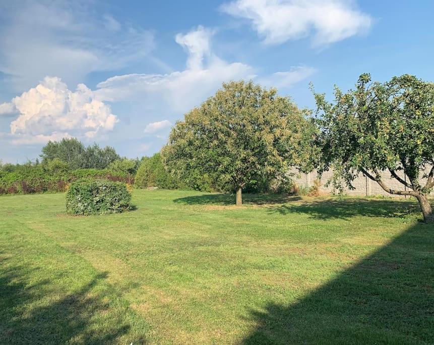 Apartament Erd - Csendes, Kenyelmes Csaladi Haz Zewnętrze zdjęcie